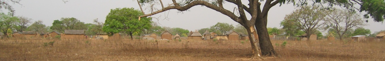 Traditional house